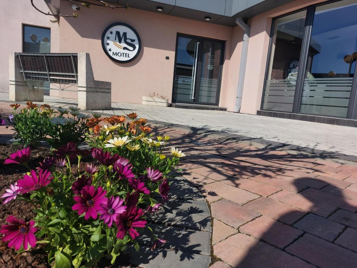Motel Ms Srpski Itebej Esterno foto
